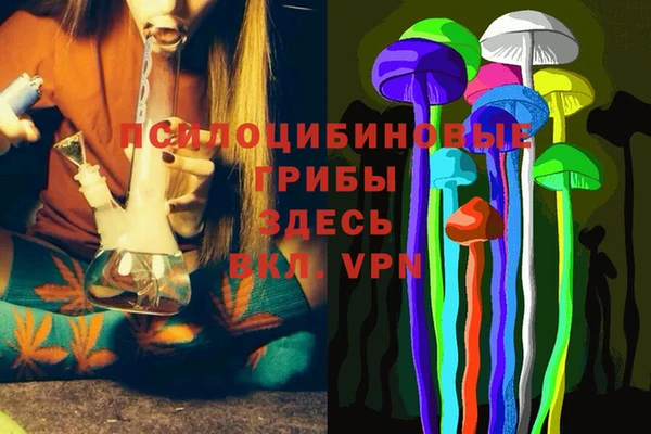 PSILOCYBIN Арсеньев