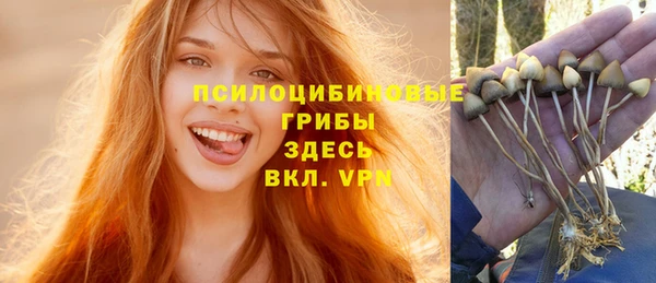 PSILOCYBIN Арсеньев