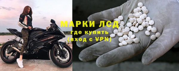 твердый Аркадак